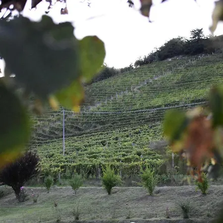 Farm stay Eno-agriturismo Cascina L'arche *