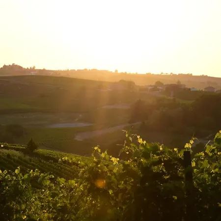 Vakantieboerderij Cascina L'arche Santo Stefano Belbo
