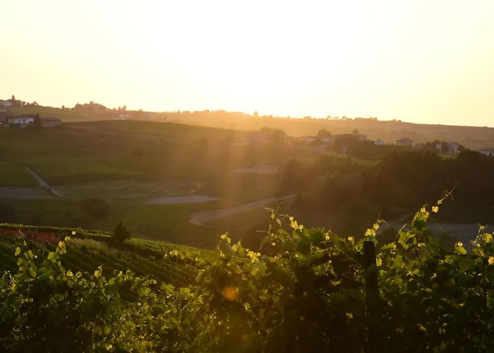 农家乐 Cascina L'arche 圣斯泰法诺贝尔博